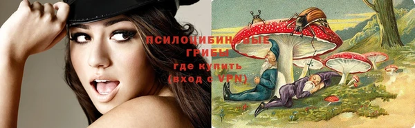 стафф Вязники