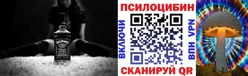 купить   Мытищи  Галлюциногенные грибы мицелий 